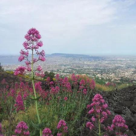 Отель Poseidon Торре-дель-Греко